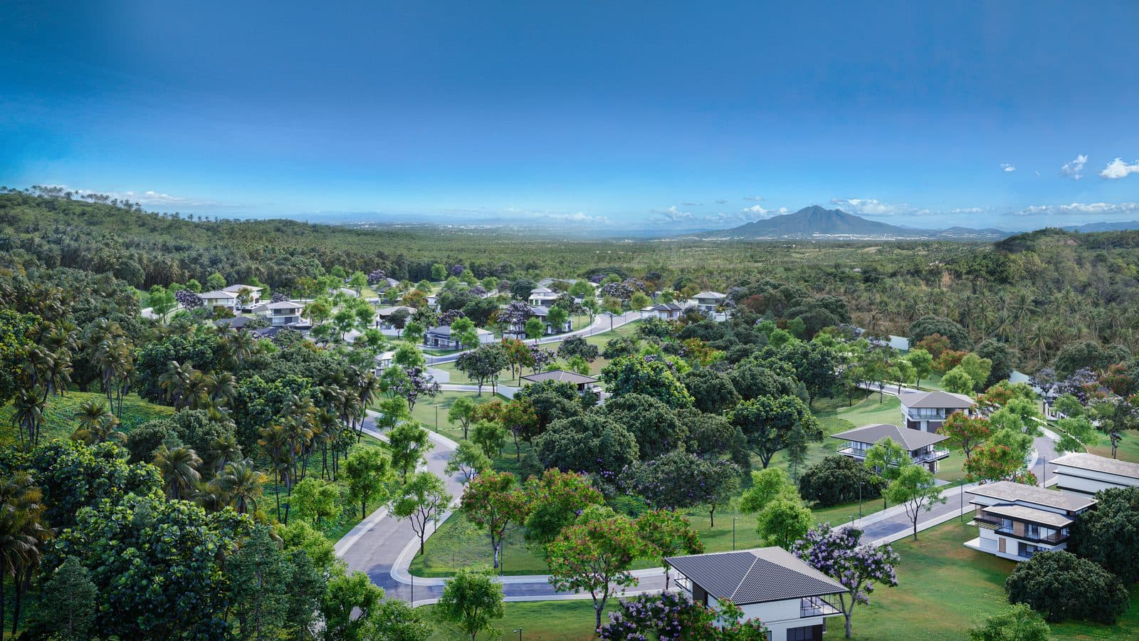 Enara — 2